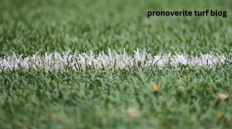 Pronoverite Turf Blog